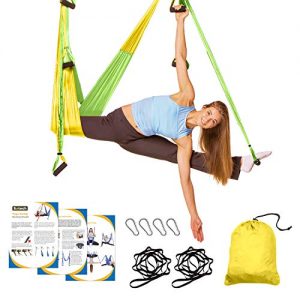 Sotech Aerial Yoga Swing Set, Yoga Hammock